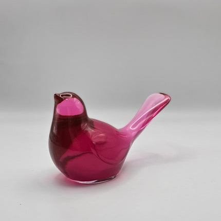 Bird Transparent Medium #54