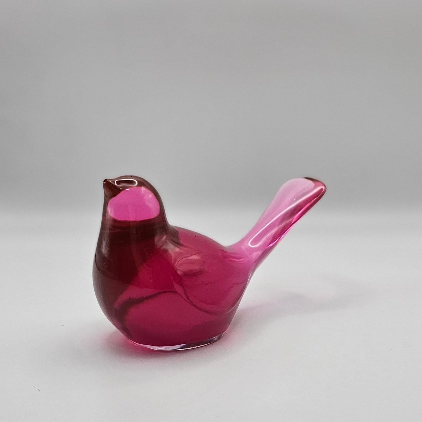 Bird Transparent Medium #54 ציפור קטנה