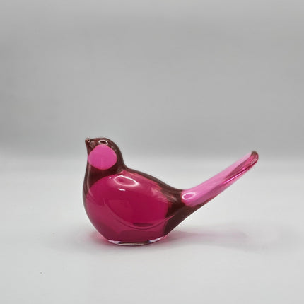 Bird Transparent Medium #54