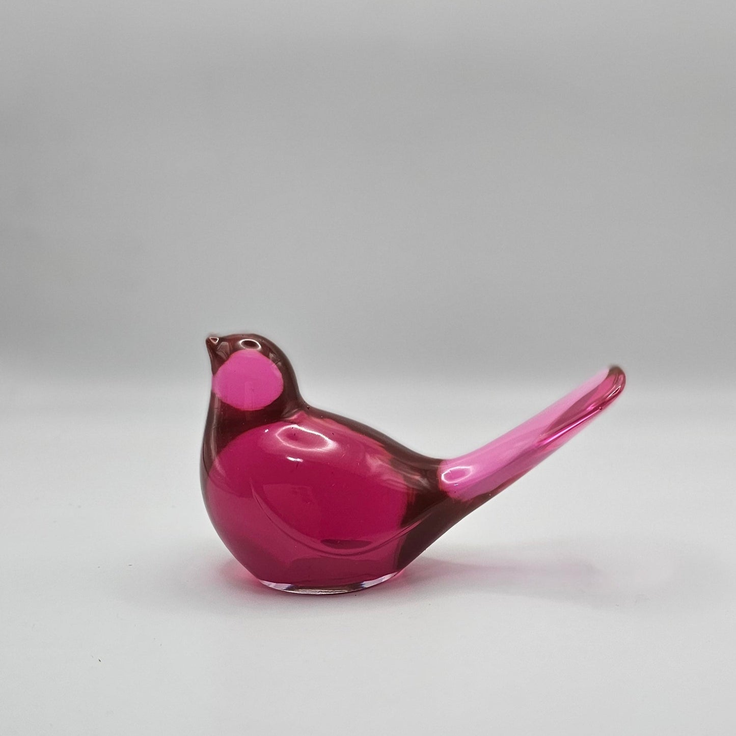 Bird Transparent Medium #54 ציפור קטנה