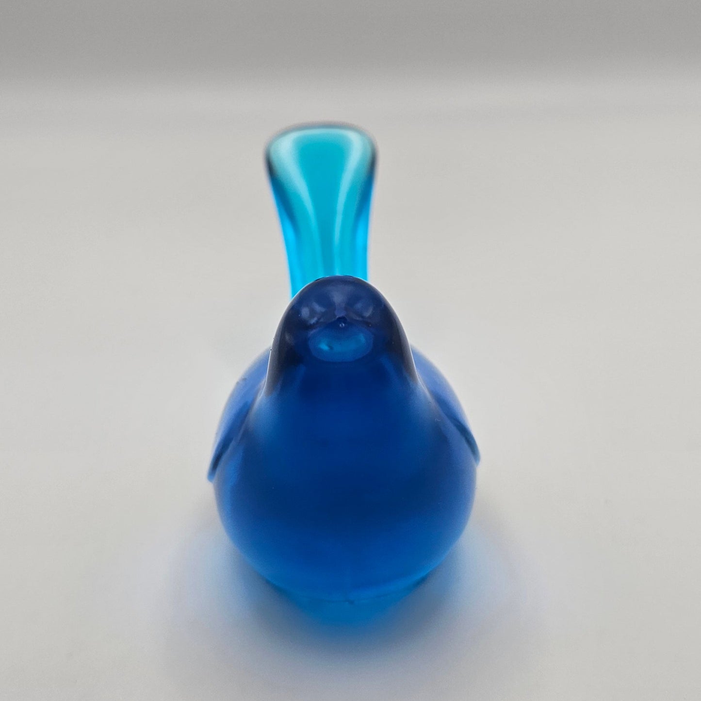 Bird Transparent Medium #53 ציפור קטנה