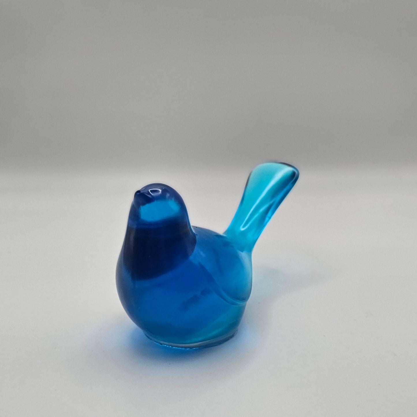 Bird Transparent Medium #53 ציפור קטנה