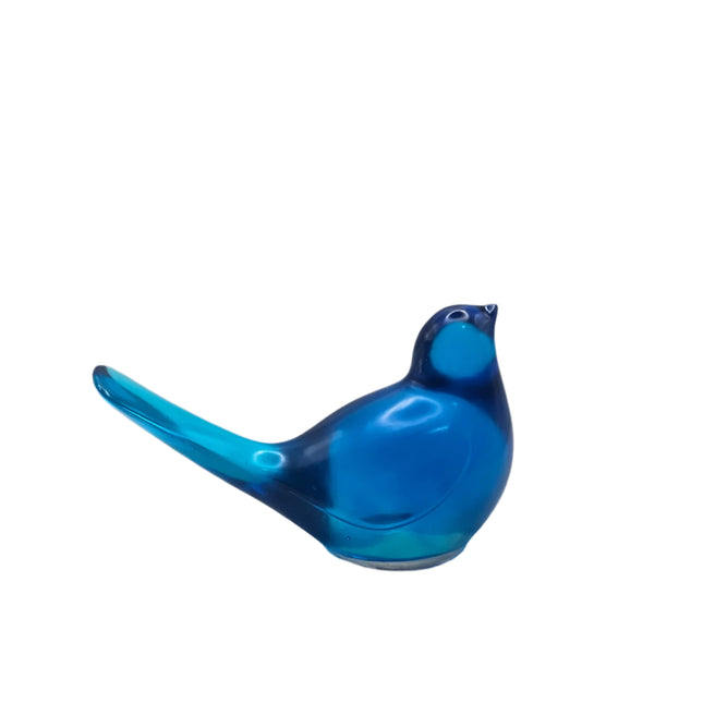 ציפור קטנה