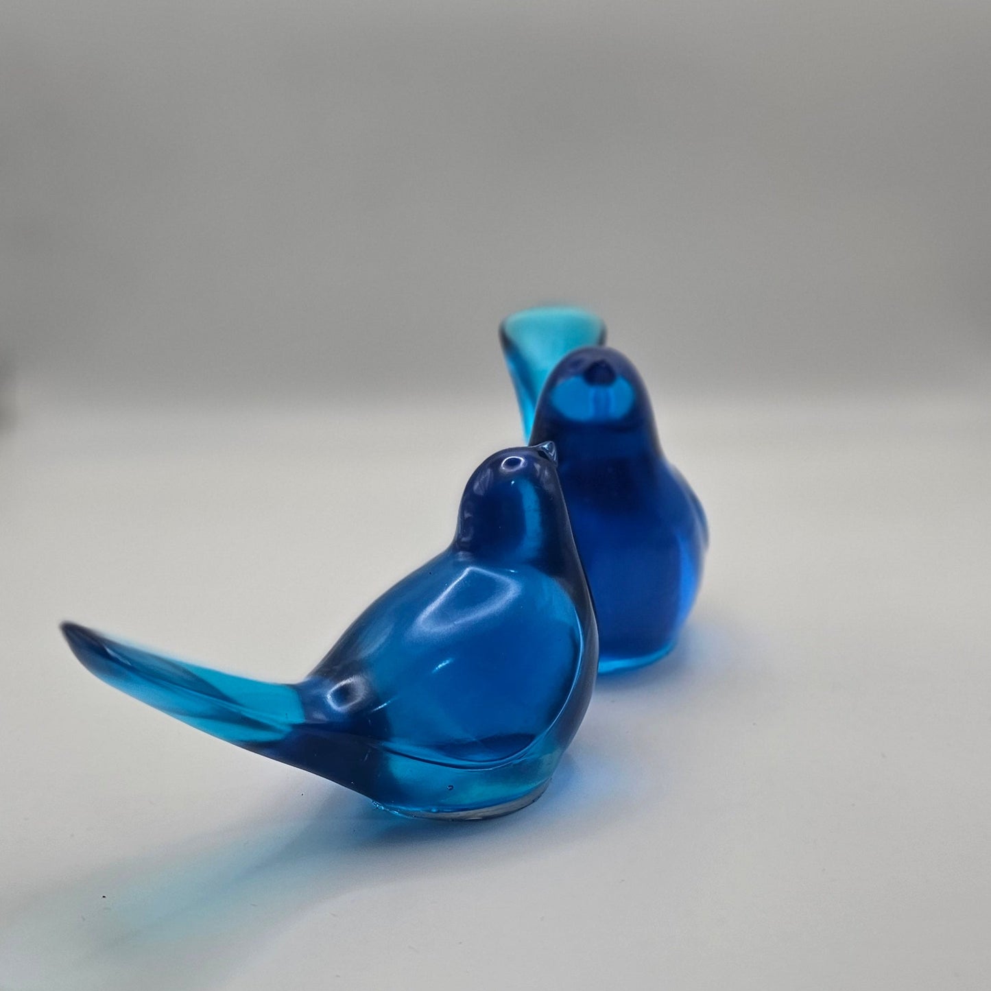 Bird Transparent Medium #53 ציפור קטנה