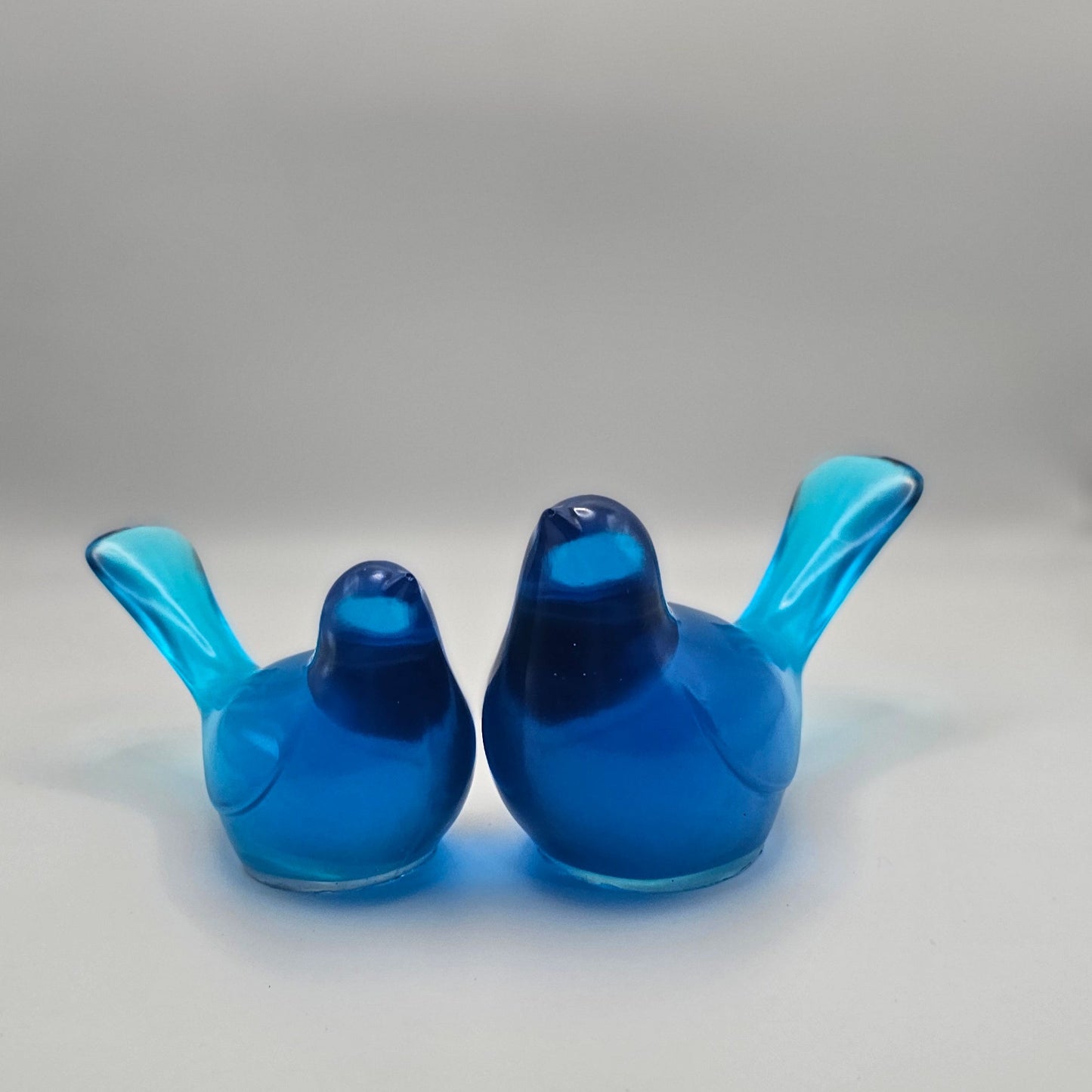 Bird Transparent Medium #53 ציפור קטנה