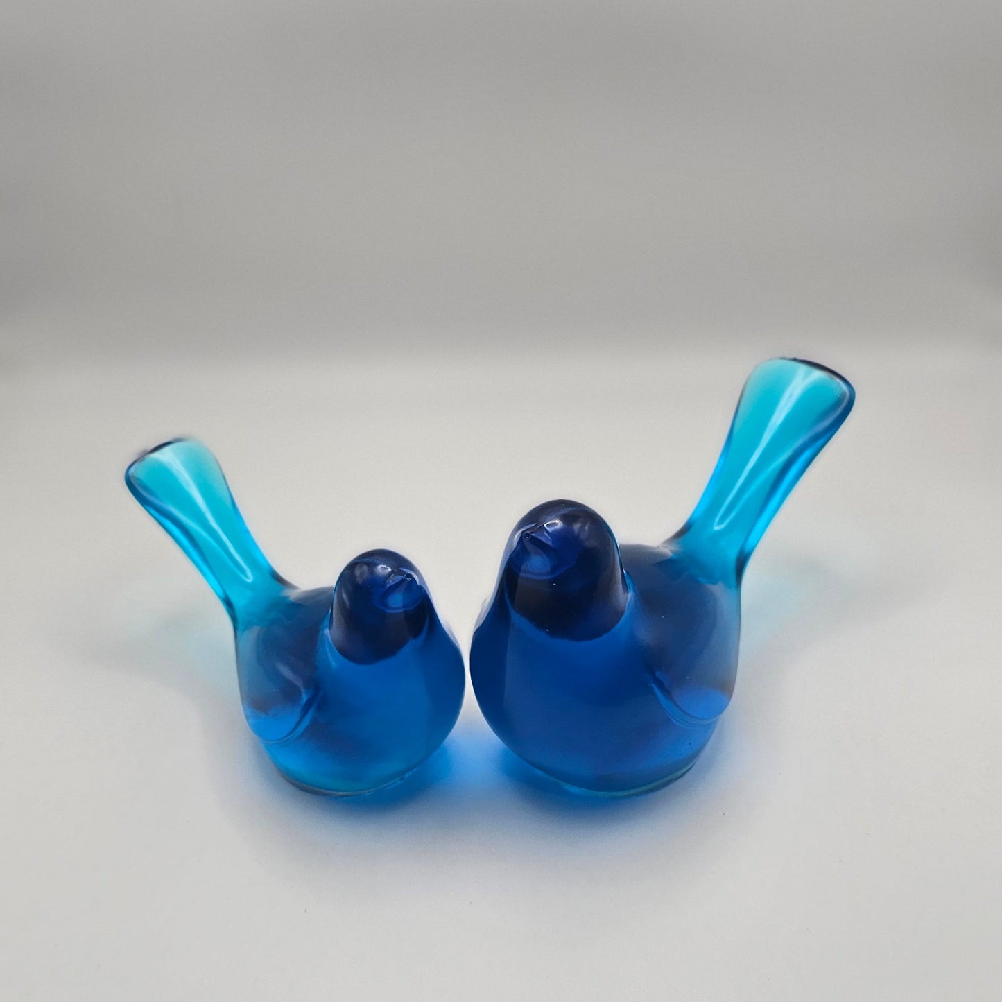 Bird Transparent Medium #53 ציפור קטנה