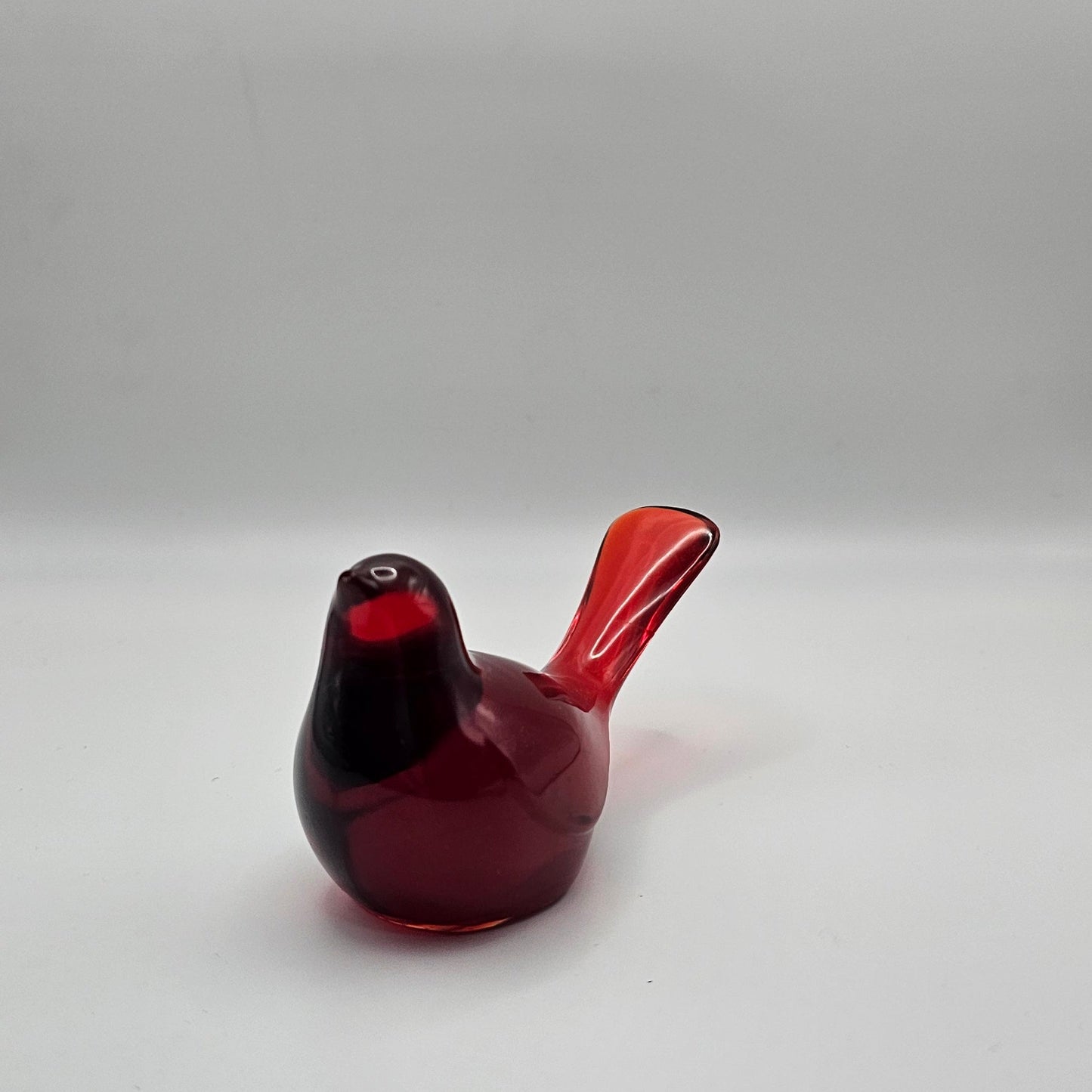 Bird Transparent Medium #52 ציפור קטנה