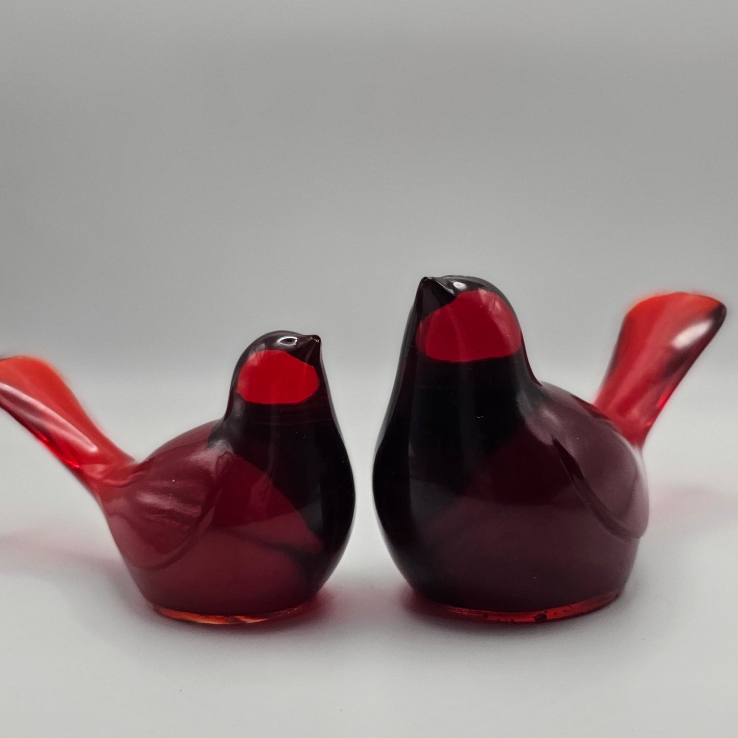 Bird Transparent Medium #52 ציפור קטנה