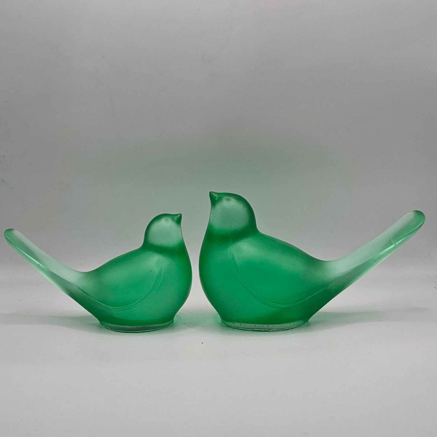 Bird Transparent Large #50 ציפור גדולה