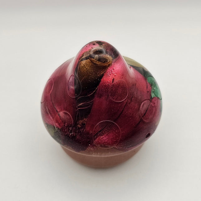 פטריה בינונית