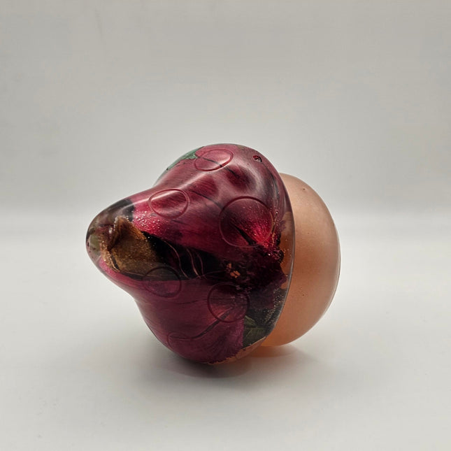 פטריה בינונית