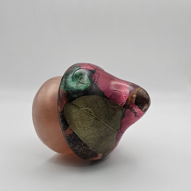 פטריה בינונית