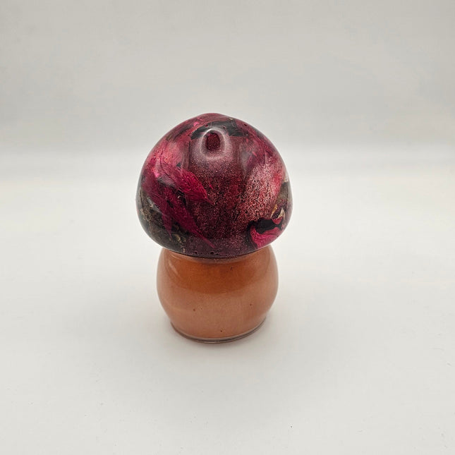 פטריה בינונית