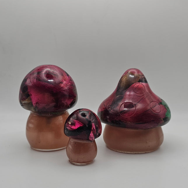 פטריה בינונית