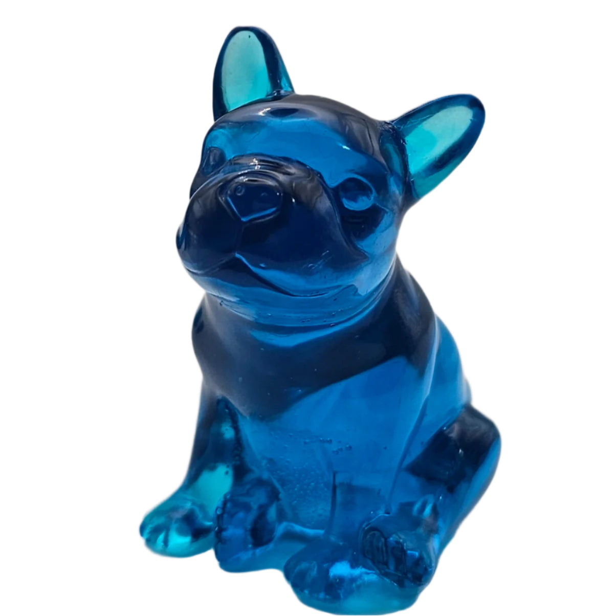 Dog #97 כלבלב