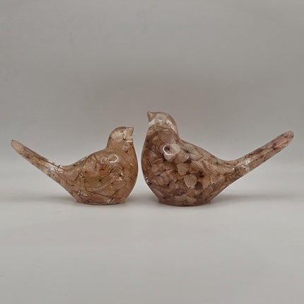 ציפור גדולה