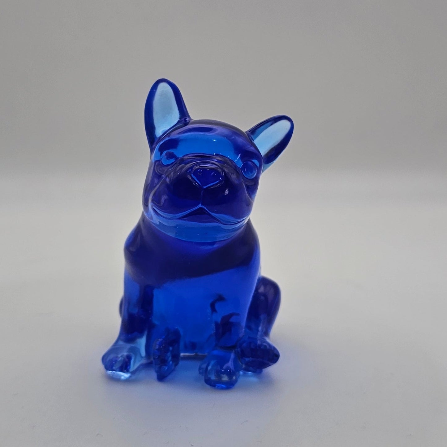 Dog #110 כלבלב