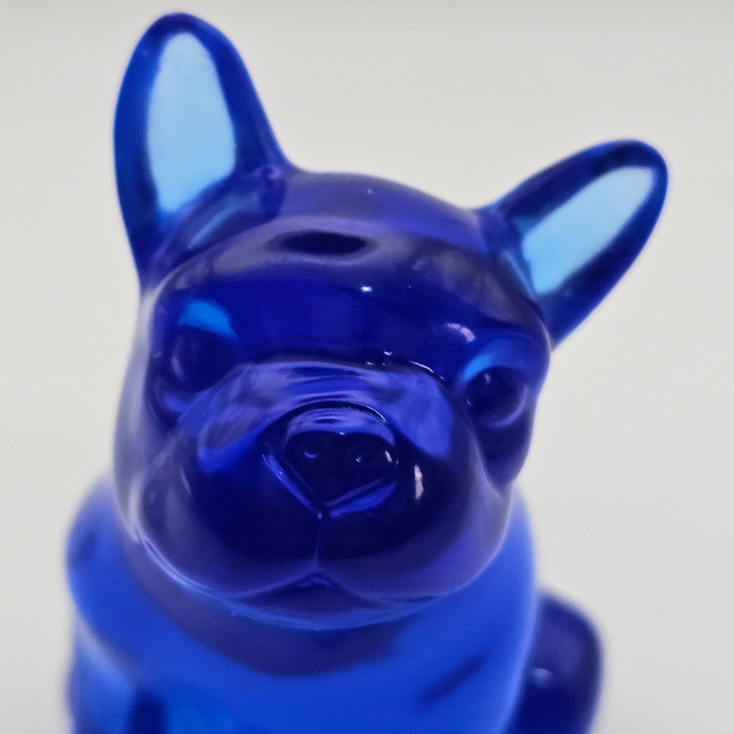 Dog #110 כלבלב