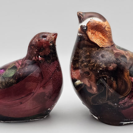 ציפור גדולה