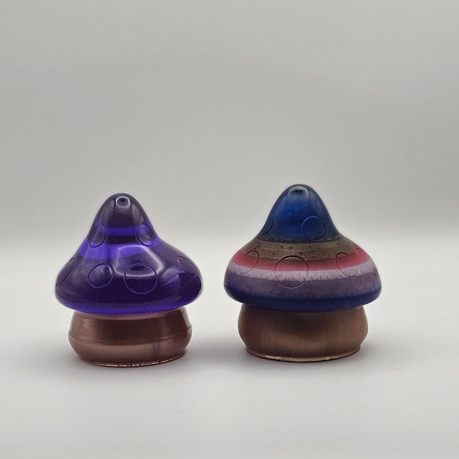 פטריה בינונית