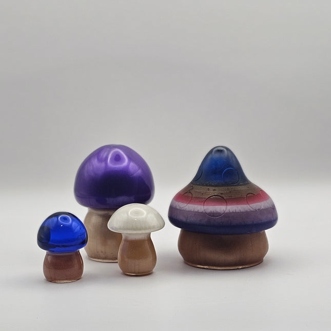 פטריה בינונית