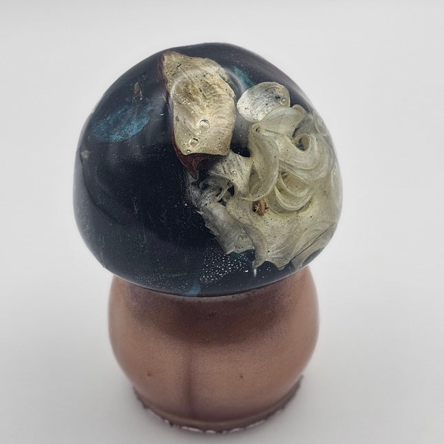 פטריה בינונית