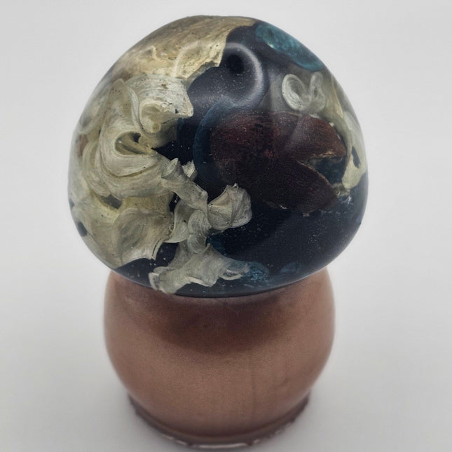 פטריה בינונית