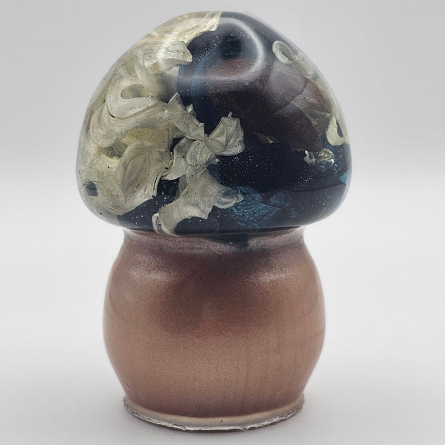 פטריה בינונית