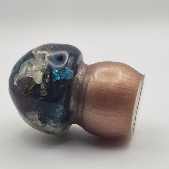 פטריה בינונית