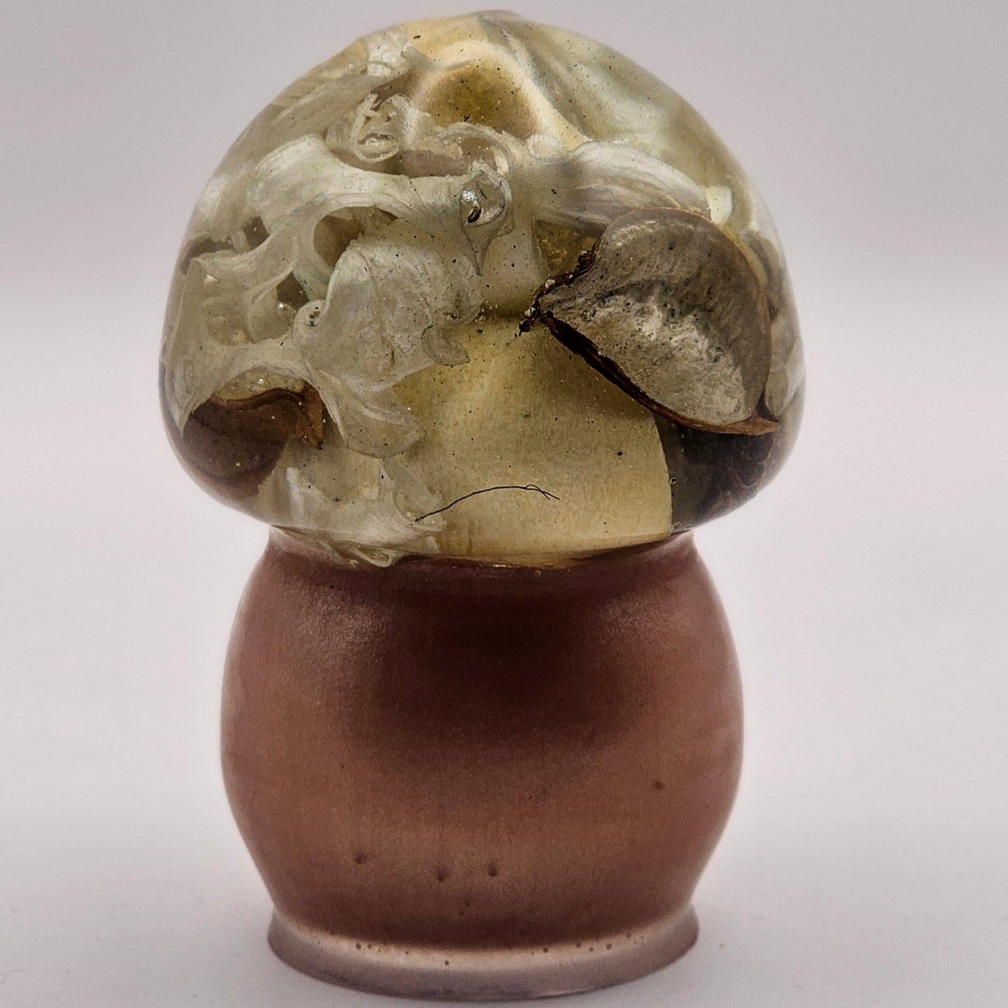 Mushroom Medium1 #117 פטריה בינונית