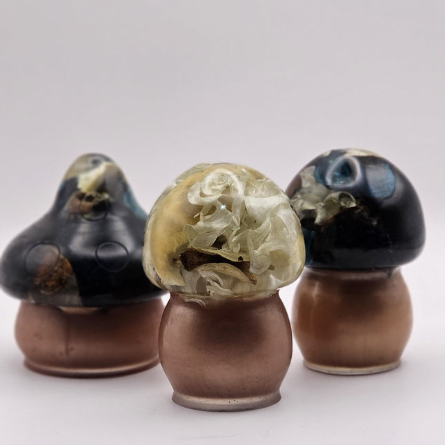 פטריה בינונית