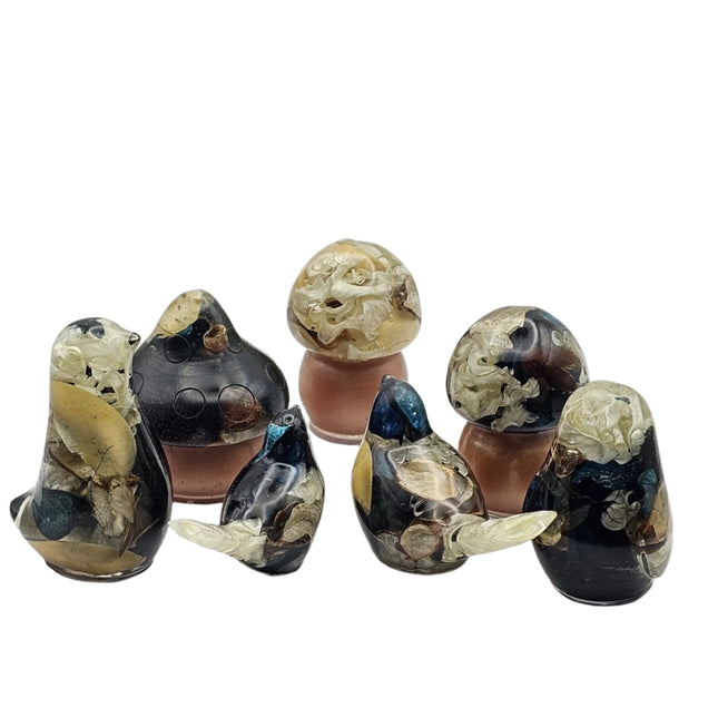 פטריה בינונית