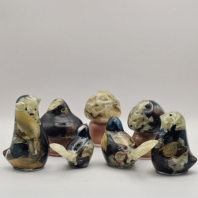 פטריה בינונית