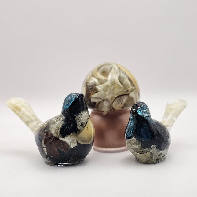 פטריה בינונית