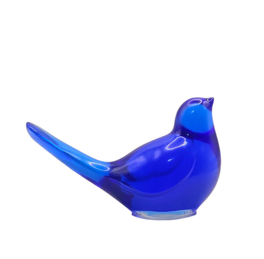 Bird Transparent Large #165 ציפור גדולה