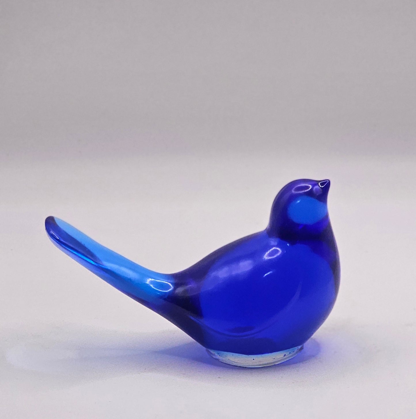 Bird Transparent Large #165 ציפור גדולה