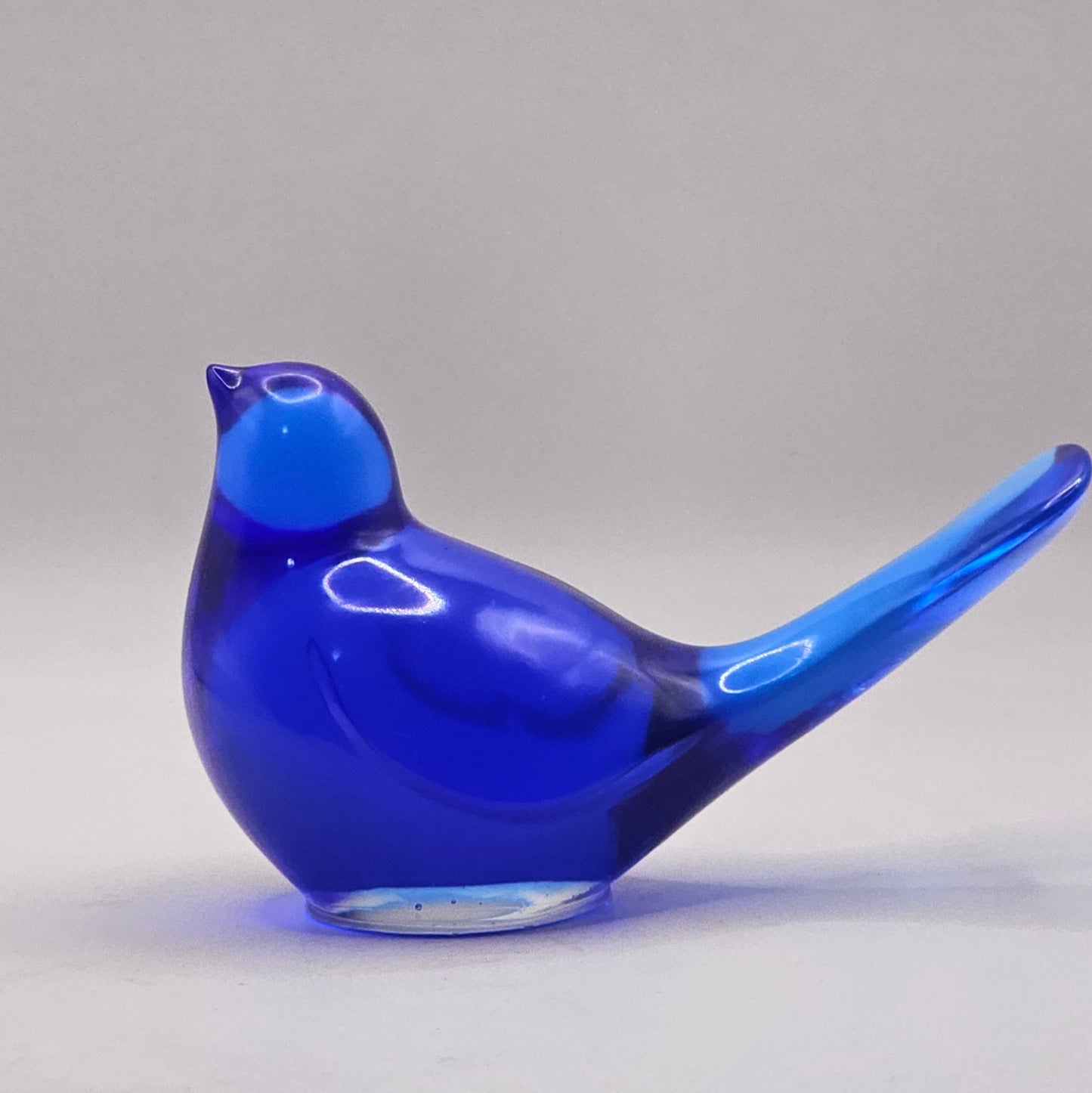 Bird Transparent Large #165 ציפור גדולה