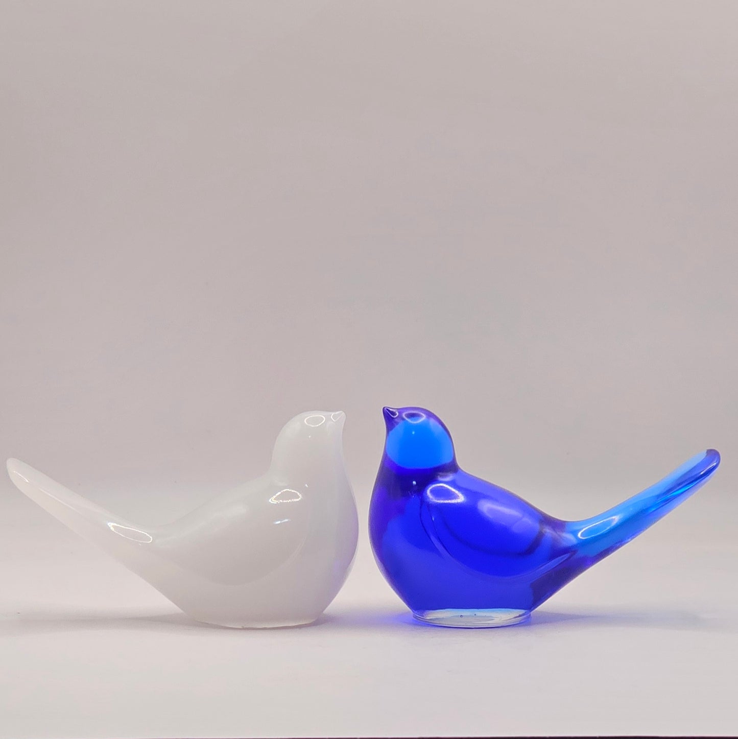 Bird Colorful Large #48 ציפור גדולה