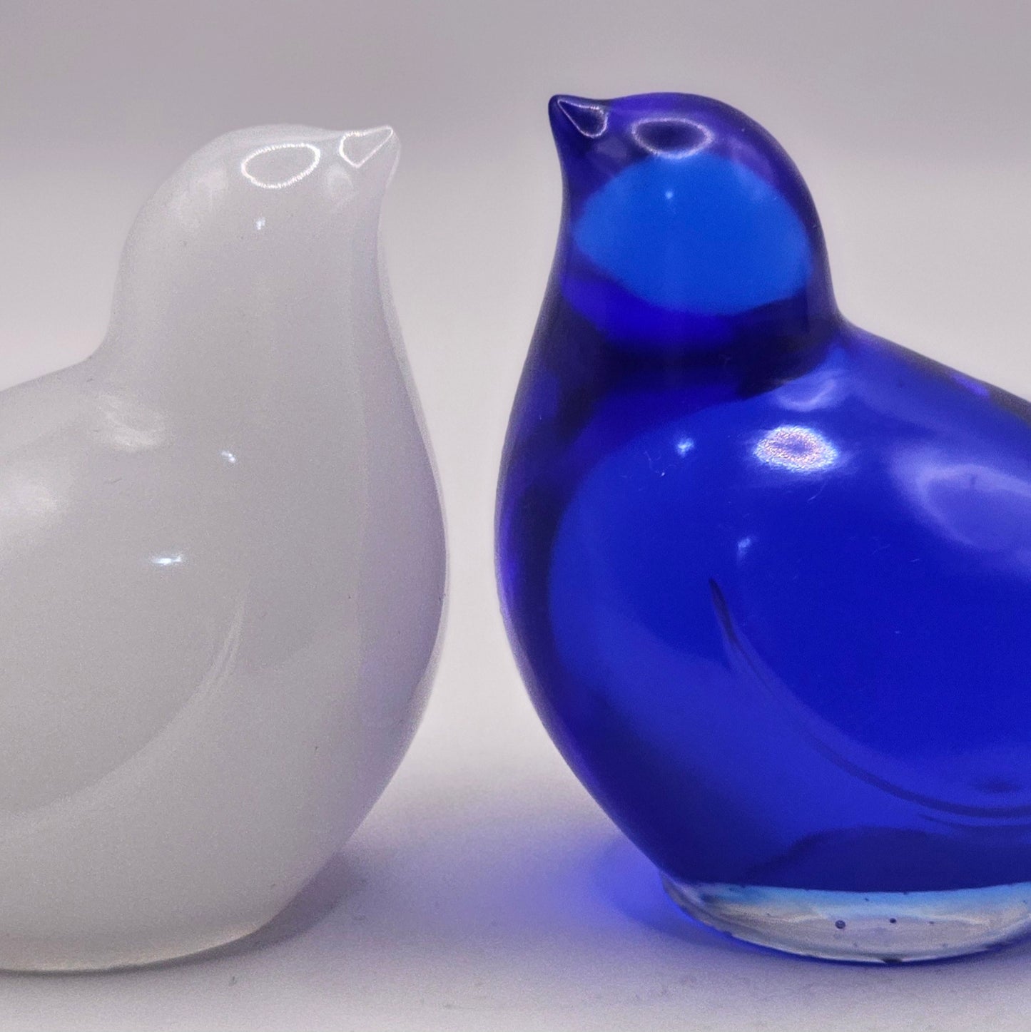 Bird Colorful Large #48 ציפור גדולה