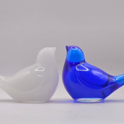 ציפור גדולה