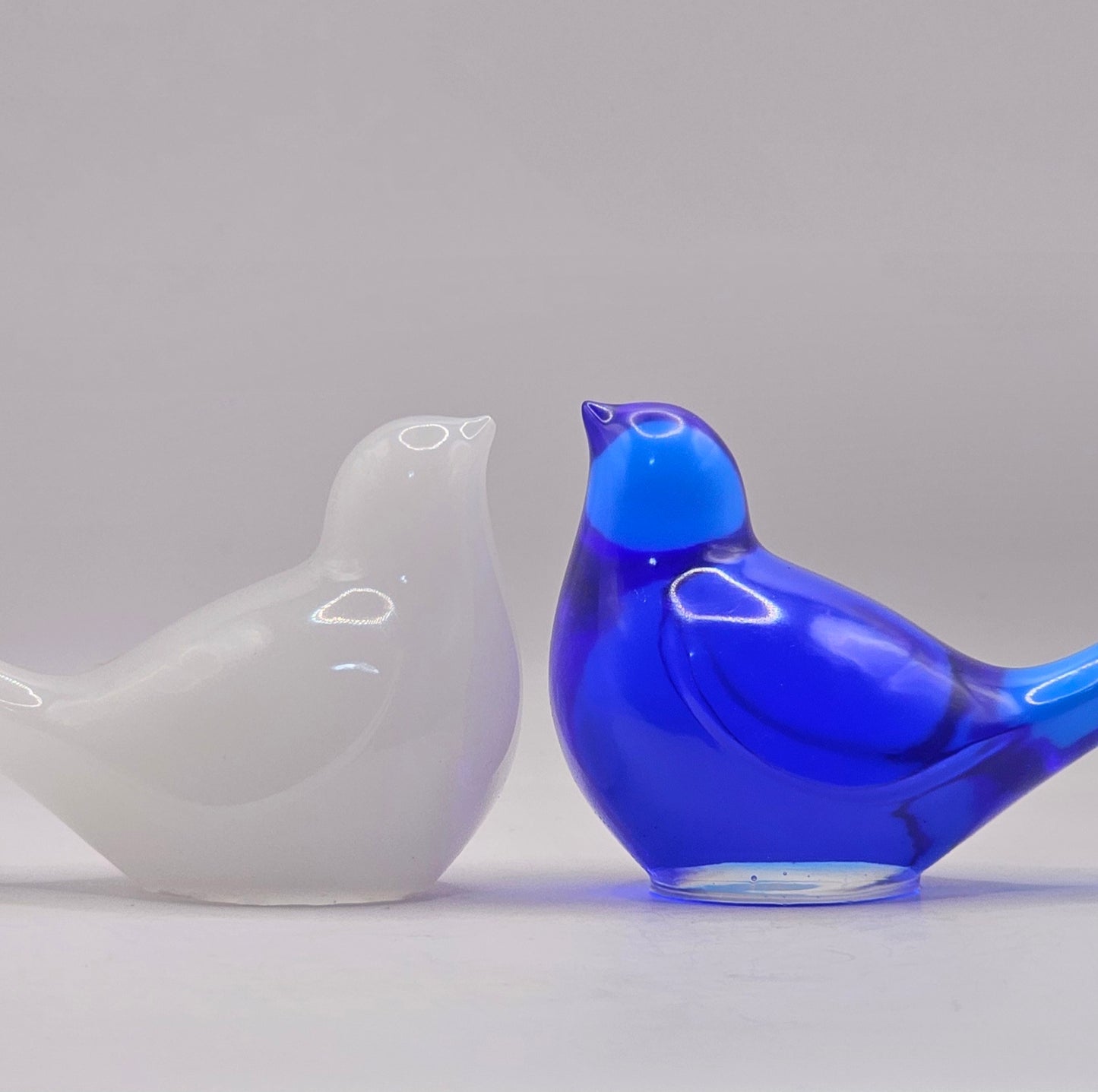 Bird Colorful Large #48 ציפור גדולה