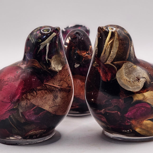 ציפור גדולה