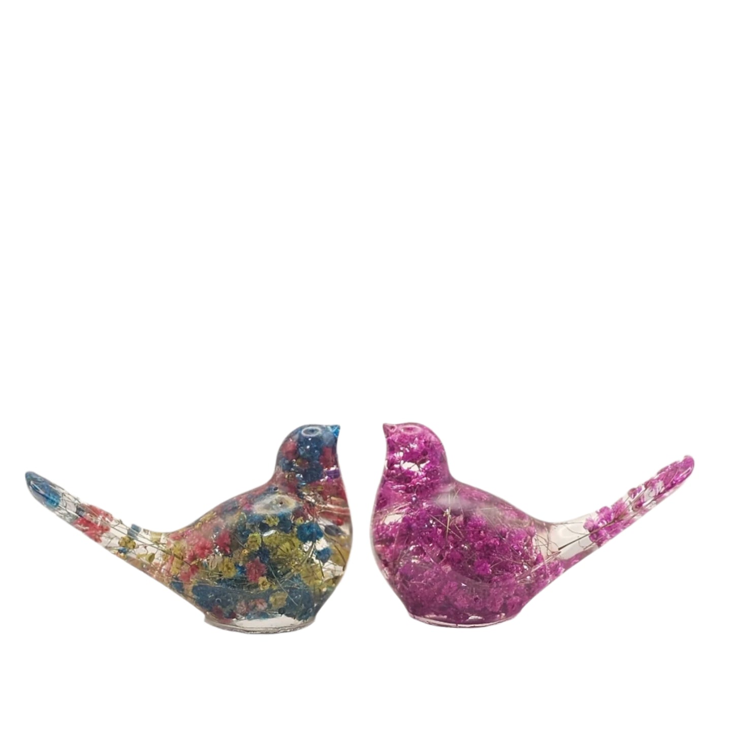 Bird Colorful Medium #182 ציפור קטנה