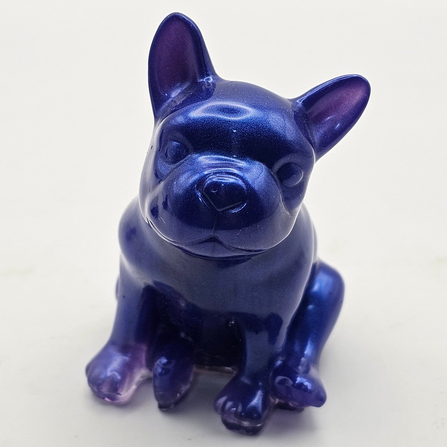 Dog #184 כלכלב