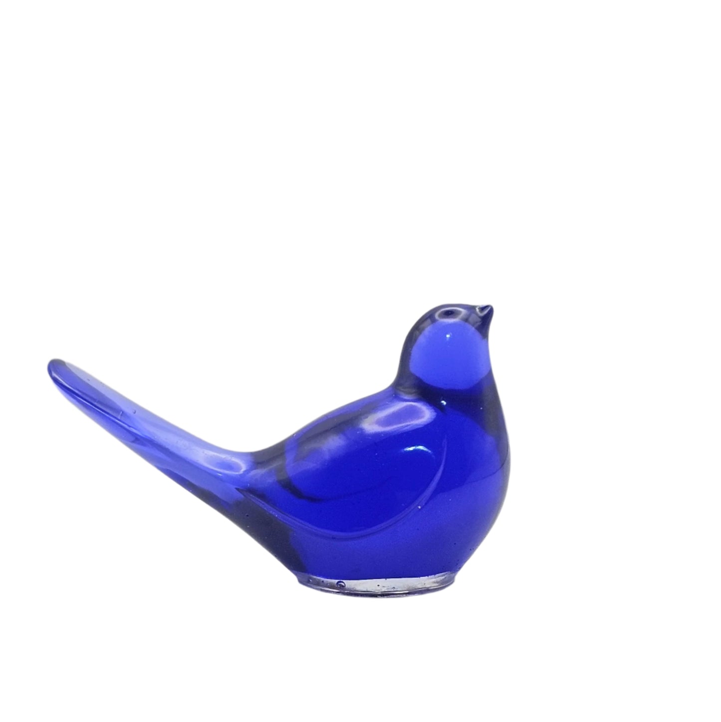 Bird Transparent Medium #186 ציפור קטנה