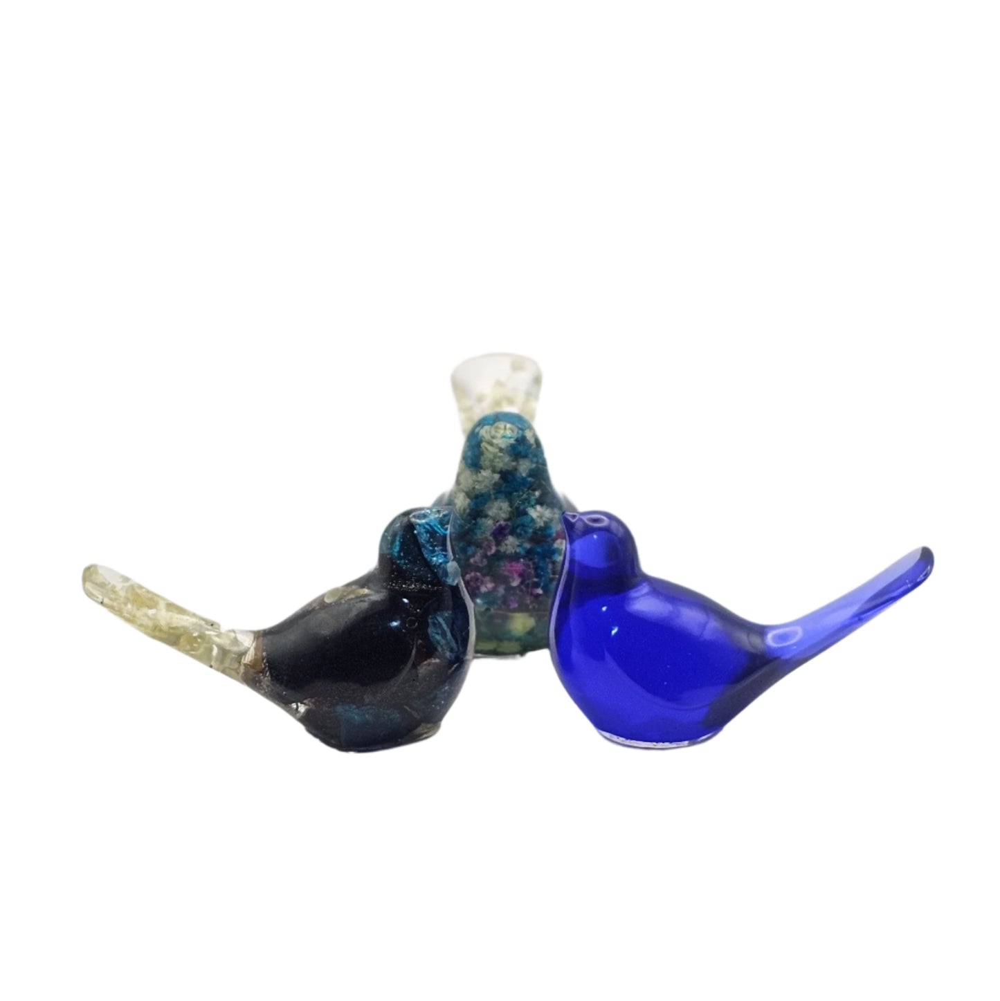 Bird Transparent Medium #186 ציפור קטנה