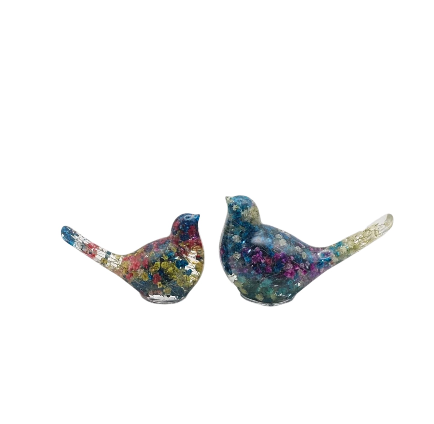 Bird Colorful Large #190 ציפור גדולה