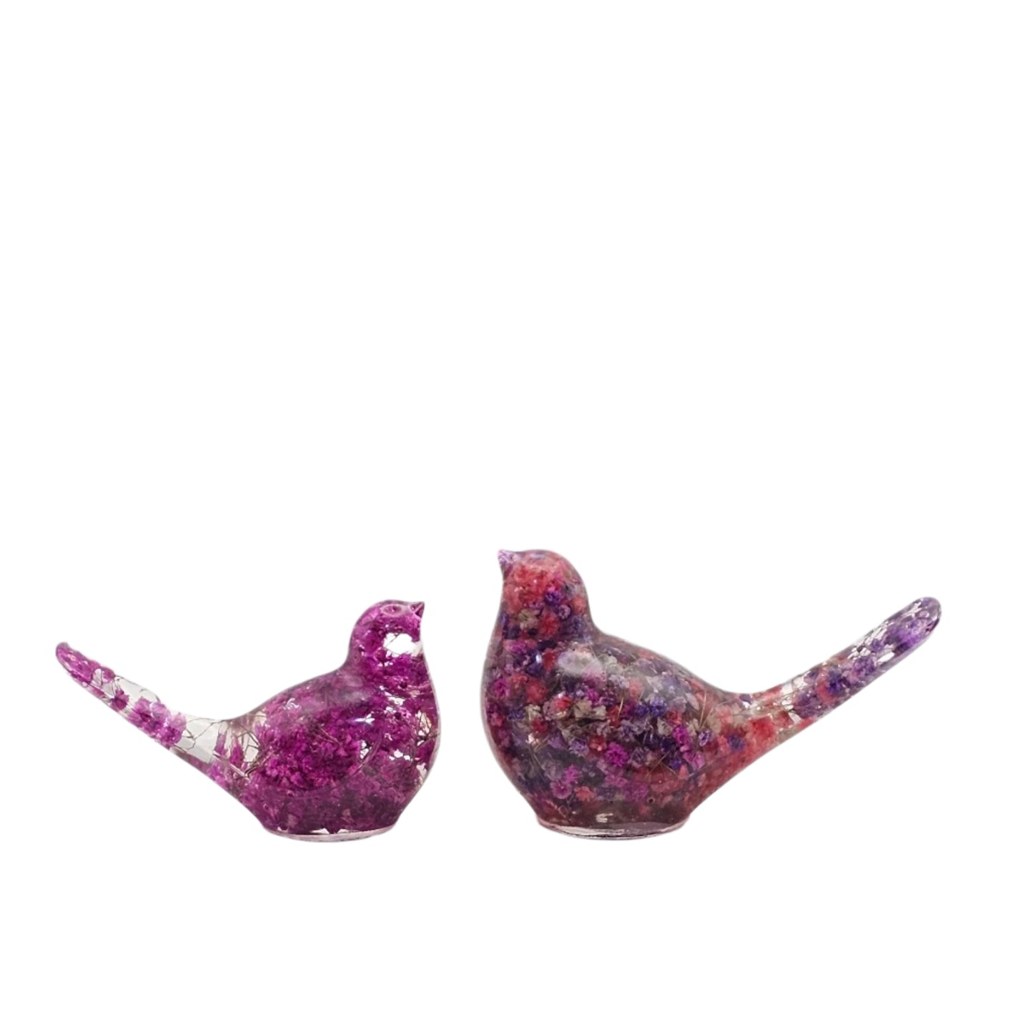 Bird Colorful Large #191 ציפור גדולה