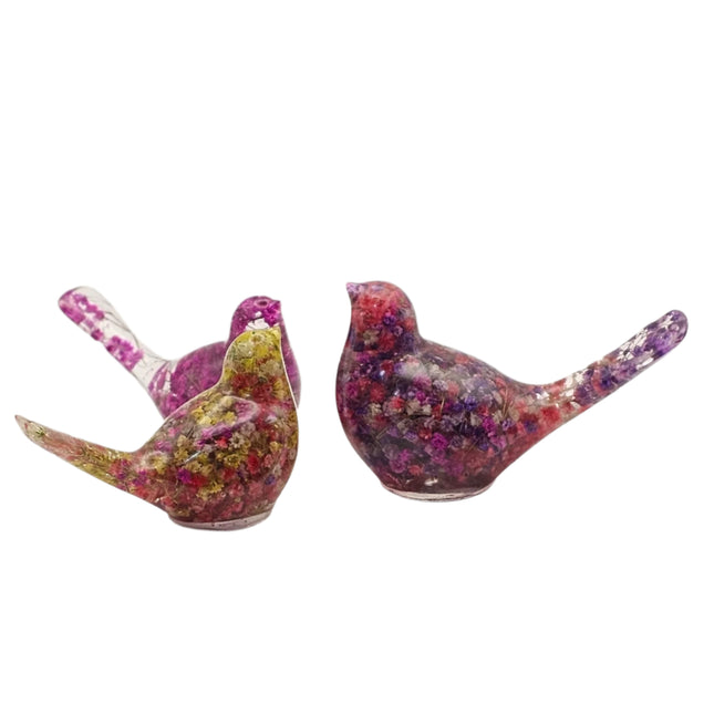 ציפור גדולה