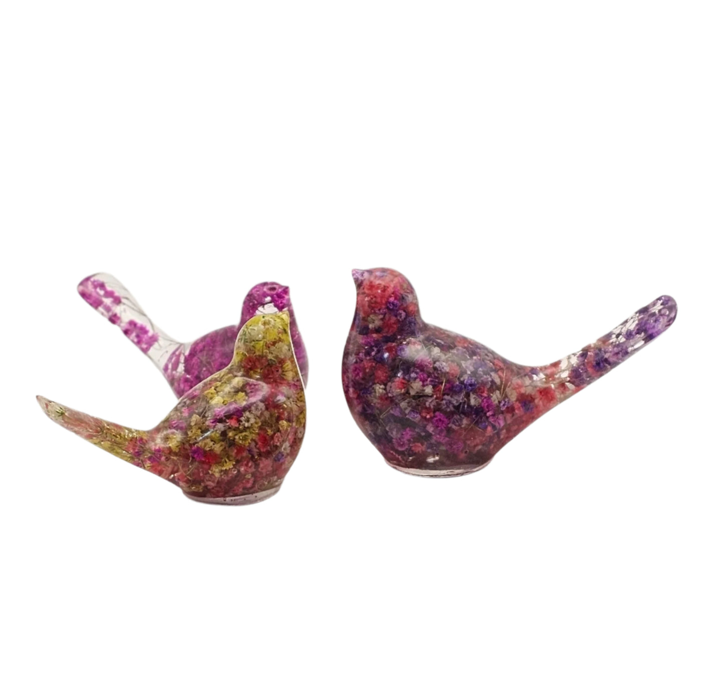 Bird Colorful Large #191 ציפור גדולה